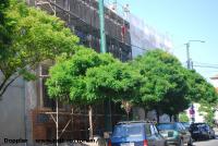 Imagine atasata: Kaufland Kogalniceanu - 2015.07.29 - 06.jpg